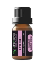 Lavender Essential Oil 15ml